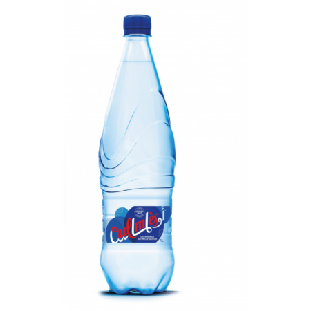 Oulmès Eau minérale gazeuse 1L