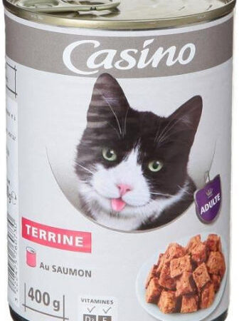 Terrine au Saumon pour Chats Casino 400g