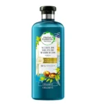 Shampoing huile dargan 400ml – HERBAL ESSENCES