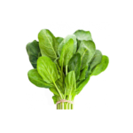 epinard-botte.png