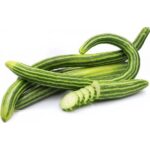 feggous-concombre-armenien.jpg