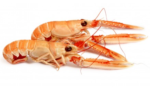 lagoustine.png